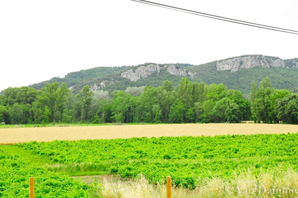 Gites Du Domaine Des Dames فالون بون دارْك المظهر الخارجي الصورة