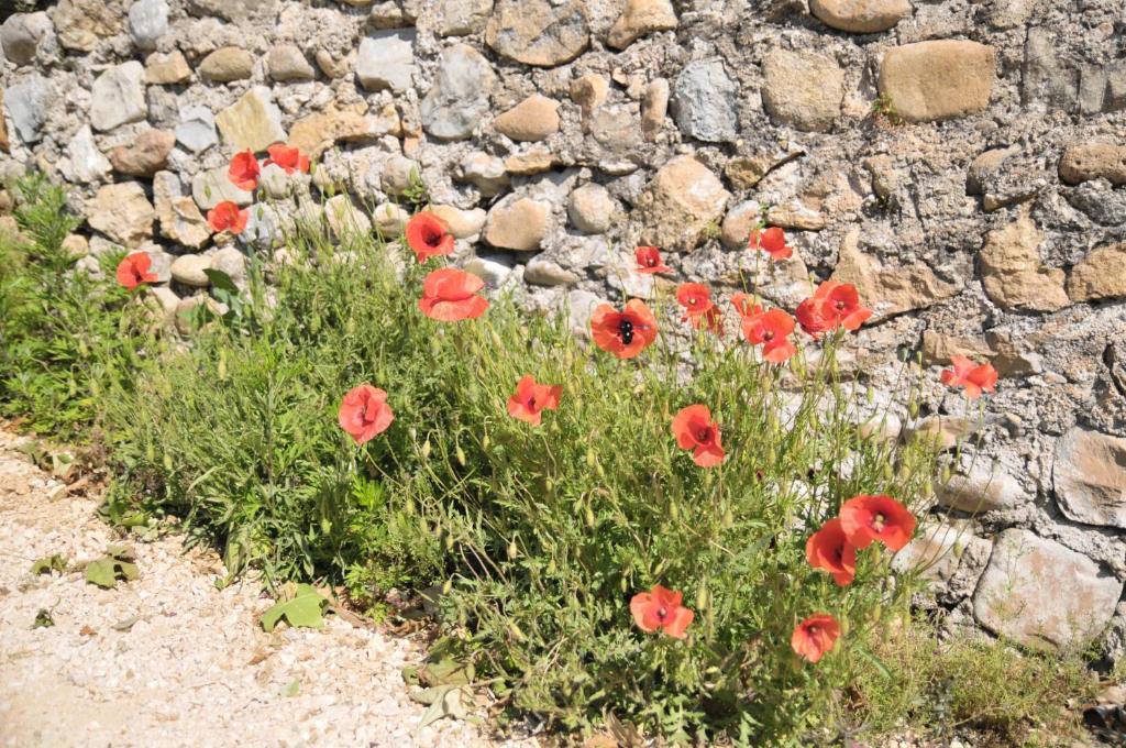 Gites Du Domaine Des Dames فالون بون دارْك الغرفة الصورة
